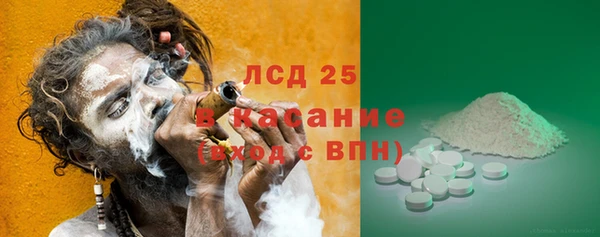 ПСИЛОЦИБИНОВЫЕ ГРИБЫ Балахна