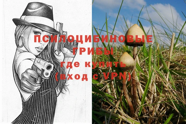 сатива Баксан