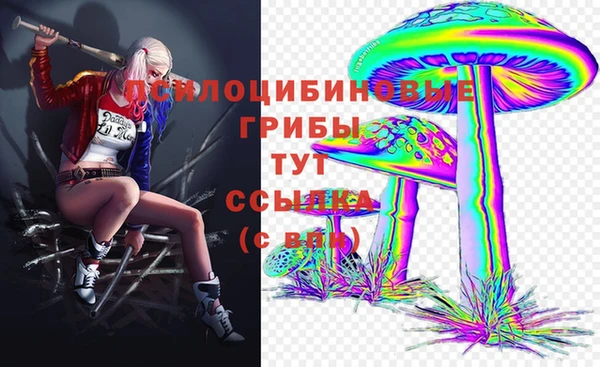 сатива Баксан