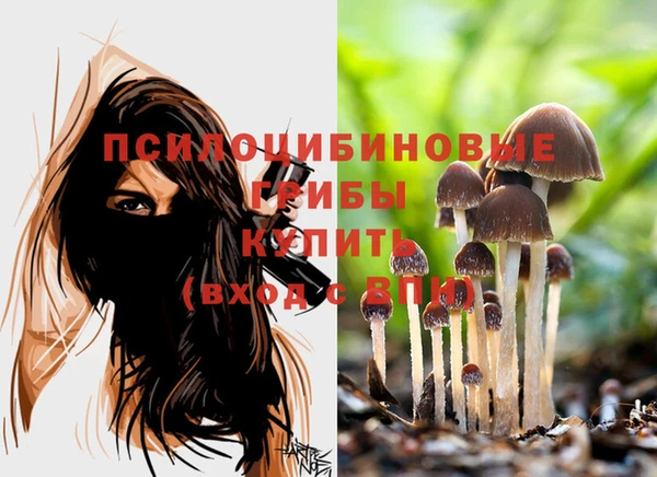 сатива Баксан