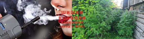 ПСИЛОЦИБИНОВЫЕ ГРИБЫ Балахна