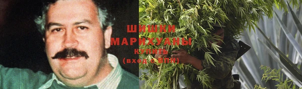ПСИЛОЦИБИНОВЫЕ ГРИБЫ Балахна