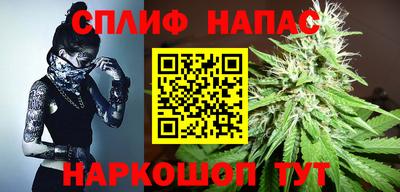 гашик Кунгур