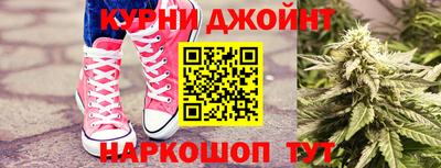 гашик Кунгур