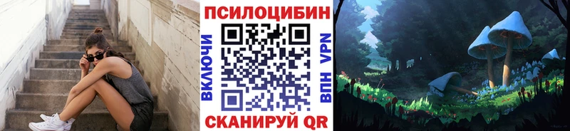 купить   Губаха  Псилоцибиновые грибы мухоморы 