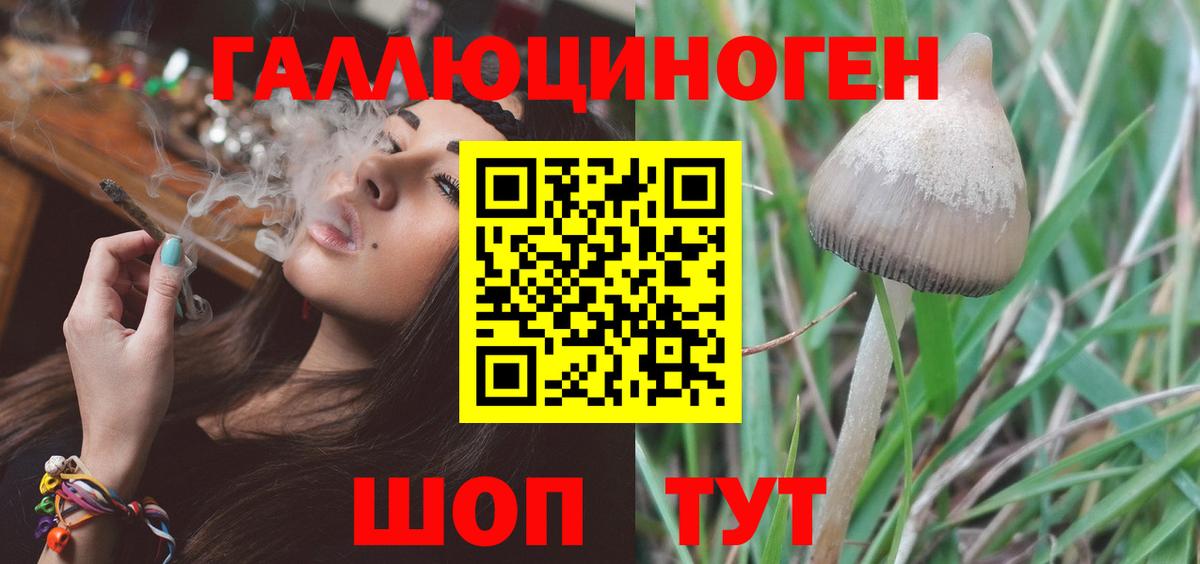 Губаха  Псилоцибиновые грибы прущие грибы  Вход с VPN 